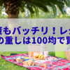 風対策もバッチリ！レジャーシートの重しは100均で賢く解決する方法まとめ