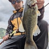 4/25(土)三河湖春バス40㎝🏆チェイス🐟見えバス🐟バラシ🐟