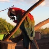 コロンビア🇨🇴ひとり卒業旅行遠征　その6