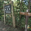 陣馬往還２０キロ（５）下山。最後の踏ん張り。