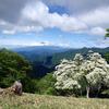 丹沢山