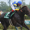 競馬初心者必見☆馬券予想🔥〜プロキオンS〜過去データよりも実力重視！