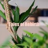 Tales of Rebirth 『植物哲学』刊行記念展