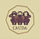 CAUDA blog