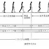 アスリートは片脚での筋トレを入れるべき！