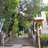 歴史を感じる寺！