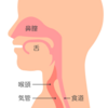 水を飲んでも喉は潤わない！？「喉を潤す方法」