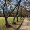 古城公園