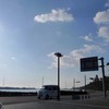 フル活動☆