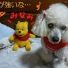 南風が強い…(￣◇￣；)　そして台風5号が…そして禁断のアイス♪
