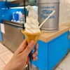 「タカナシ ミルクパーラー」で低温殺菌牛乳のソフトクリーム