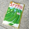 エンドウ豆の種蒔きと、イチゴの植付