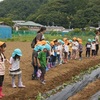 20230606 農業チーム 保育園のサツマイモ定植