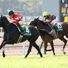 競馬初心者必見☆馬券予想🔥〜北九州記念〜大混戦必至！狙いはダービージョッキーへ乗り替わりのあの馬！〜