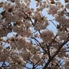 つれづれに