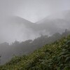 tochikoな山歩き　秋雨