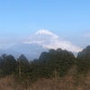 今朝の景色