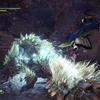 MONSTER HUNTER WORLD ICEBORNE:PS4版：自分と相手の動作確認『ジンオウガ』