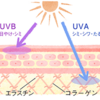 手の紫外線対策できていますか？