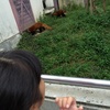 動物園に〜