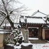 飛鳥寺　雪景色