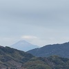 今日の富士山。