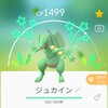 【ポケモンGO】技のアップデートによる超強化で大注目！ ジュカインの強さを解説！【GOバトルリーグ】