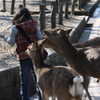  関西旅行。