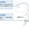 ミニレクチャー No. 98 スピーチカニューレについて