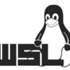 WSL2 Error response from daemon: Get "https://registry-1.docker.io/v2/"