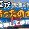 🏍️【やってみた。】愛車が結構汚かったので、少しだけ凝った洗車に挑戦してみました。