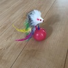 宙の大好きなおもちゃ、そしてアクシデント！