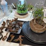 ADAネイチャーアクアリウム展覧会でミニパルダリウム制作ワークショップに参加してみたレビュー！