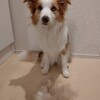 抜け毛のシーズン到来！
