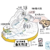 垂天池沼・ベコ沼（秋田県仙北）