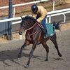 ９日に栗東・斉藤崇厩舎へ帰厩しています。☆アースコンチェルト