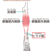 「正しい社員教育」その根底〜人生④〜