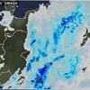 「佐久の季節便り」、「山鳩・雉鳩」が、「四手辛夷（しでこぶし）」に、営巣・抱卵中…。