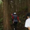 刺されて分かるハチの毒の恐ろしさ。