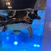 すみだ水族館