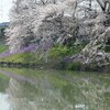 さいたま　花見三昧