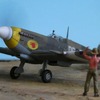 1/72  ハセガワ　Spitfire Mk．Ⅷc　（５）