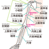 上腕骨小頭離断性骨軟骨炎について