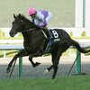 日曜競馬　展望