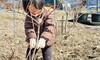 チビちゃんも剪定の手伝い
