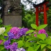 雨の日散歩