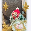 メリークリスマスイヴ🎄
