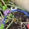 私がここにいるわけ　その２⑤