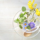 「自分」を癒す、腸活コラム。