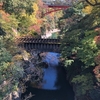 東京から５時間半かけて八ヶ岳にはいりました